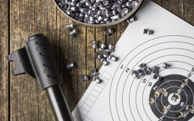 xr:d:DAFJRzNLWog:3,j:32847879986,t:22081407